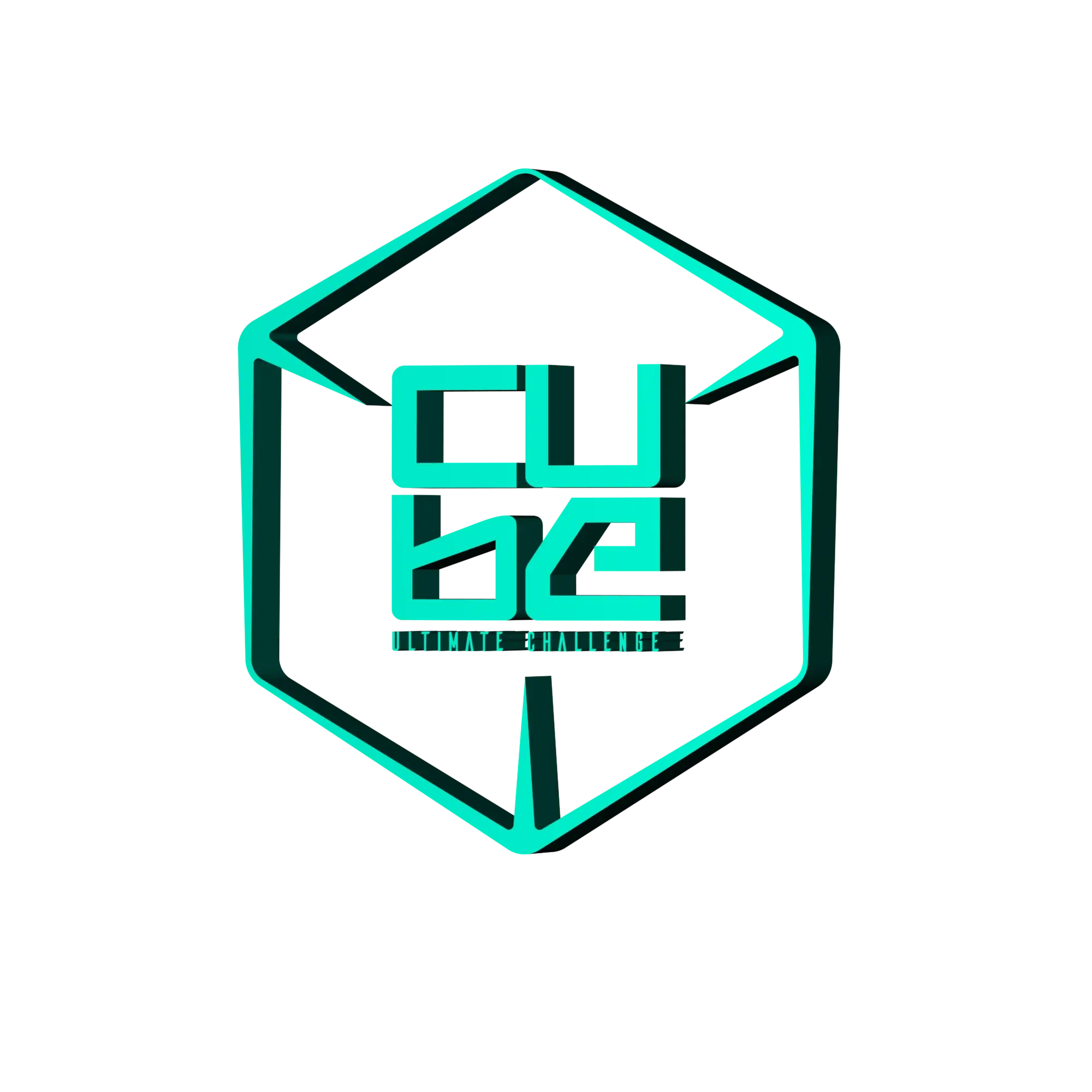 Cube Logo